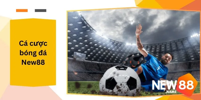 Cá Cược Bóng Đá New88 Tìm Ra Cơ Hội Tại New88